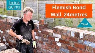 WHAT A JOB FLEMISH BOND Garden wall