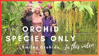 ORCHID SPECIES ONLY. Smiley Orchids nursery tour.