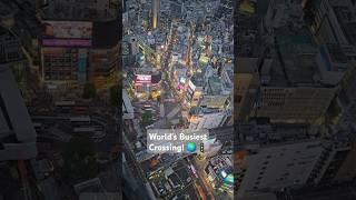 World's Busiest Crossing : Shibuya Scramble from Shibuya Sky! 