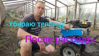 навожу порядок после рассадного сезона