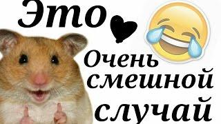 Очень смешной случай ))))))))))