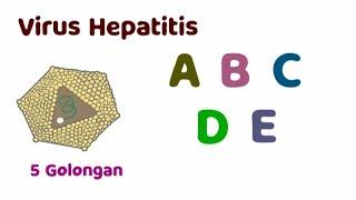 Virus Hepatitis