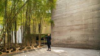 This House Behind A Bamboo Forest Reveals A Mysterious Cinema | Manila, Philippines