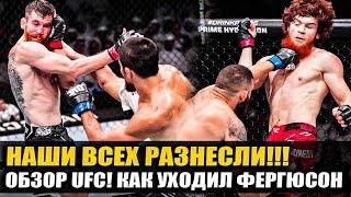 ОБЗОР UFC Абу-ДАби: Умар Нурмагомедов, Кори Сэнхаген, Шара Буллет, Тони Фергюсон