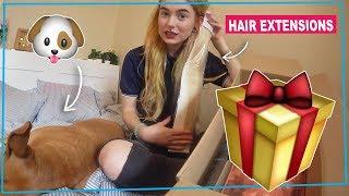 BEAUTY HAUL with Balder the Dog 