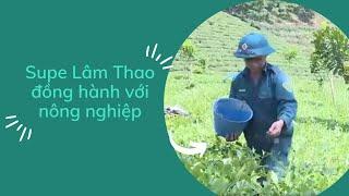 Supe Lâm Thao đồng hành với nông nghiệp | PTV - Tin tức