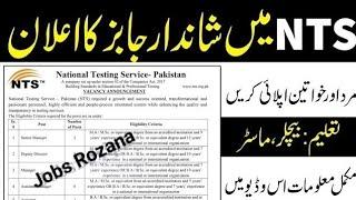 NTS JOBS 2024 - National Testing Service Jobs 2024 - Online Free Apply