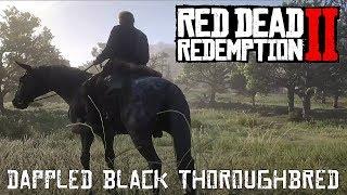 Red Dead Redemption 2 - Acquiring The Dappled Black Thoroughbred