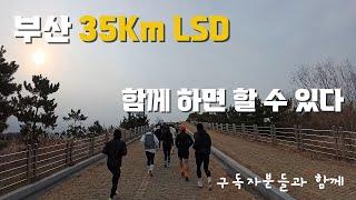 부산 구독자분들과 함께 35Km LSD / 다대포~을숙도~대저생태공원 / 25년 첫 훈련 VLOG