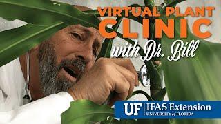 The Virtual Plant Clinic With Dr. Bill January 2, 2025