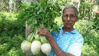 Healthy Village Foods  Cooking Radish Curry in my Village by Grandma