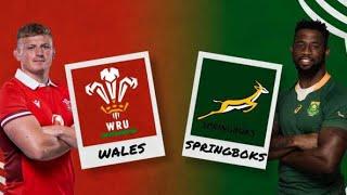 South Africa vs Wales 2023