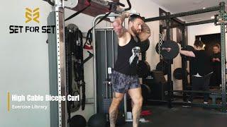 High Cable Biceps Curl | SFS Exercise Library