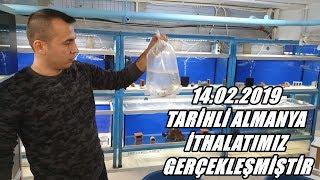 14.02.2019 TARİHLİ 4. TANGANYIKA İTHALATIMIZ GERÇEKLEŞMİŞTİR