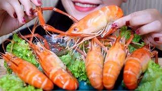 ASMR HUGE PRAWN (blueclaw shrimp)SAVAGE EATING SOUNDS | LINH-ASMR