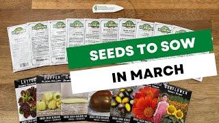 What seeds to sow in MARCH | Seed Sowing | What to Grow in MARCH | DT Brown | Baker Creek Seeds