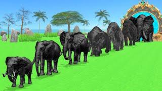 Paint Animals Mammoth, Elephants Size Comparison Fountain Crossing Animal Transformation Cartoon