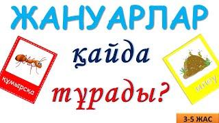 Жануарлар қайда тұрады Жануарлар мекені балаларға 3 5 жас логикалық ойын