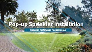 Hunter IIF Training: Pop-up Sprinkler installation