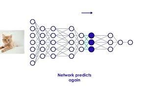 neural networks animation