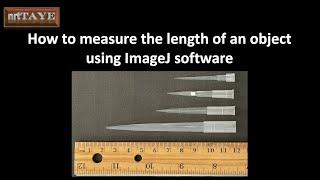 How to measure the length of an object using ImageJ Software