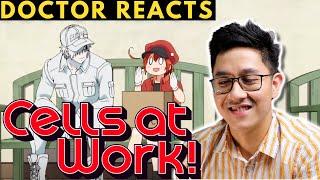 FILIPINO DOCTOR REACTS: CELLS AT WORK