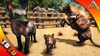  ARK HYAENODON TAMING AND BREEDING! HYAENODON LOCATION! ARK Survival Evolved Update V258