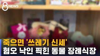 죽으면 '쓰레기 신세'…동물 장례식장은 혐오 낙인 / SBS
