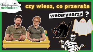 Co przeraża weterynarza? Czego obawiają się weterynarze? ‍️ | Szczera rozmowa lekarzy weterynarii