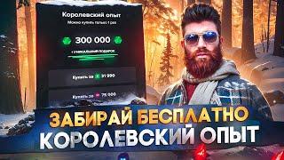 ЗАБИРАЙ БЕСПЛАТНО КОРОЛЕВСКИЙ ОПЫТ ЗИМНЕГО ПРОПУСКА 2025 в GTA 5 RP / MAJESTIC RP