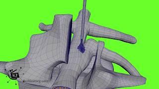 spin disk treatment skeleton medical animation