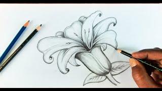 How to draw a Flower with pencil shade || Simple flower  Drawing ||Jakkani Drawing Academy