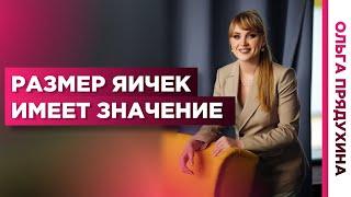 Размер яичек имеет значение. Какой нормальный размер яичек.