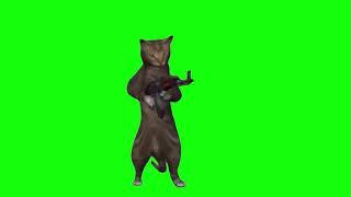 Green Screen Cat Shoots from AK-47 Meme