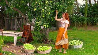 Collecting & Preserving Summer Apples From Start to Finish 