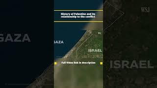 Israel-Palestine Conflict Explained | #shorts 03