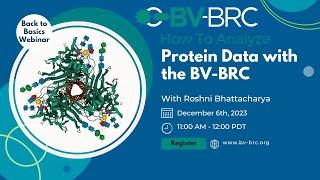 BV-BRC Viral Back to Basics: How to Analyze Protein Data with the BV-BRC