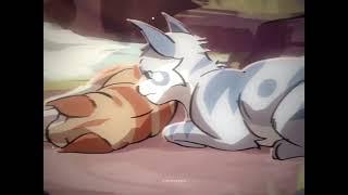 leafpool and jayfeather edit | warrior cats (art by TheWisestDino)