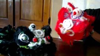 Lion Dance Hand Puppet (Barongsai tangan) by Jefry Than