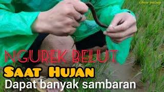 Ngurek Belut Saat Hujan Ternyata Banyak Sambaran | Edisi Incu Galeng Garut Fishing Trip