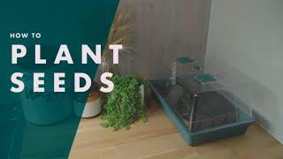 How To Plant Seeds | Bunnings Warehouse