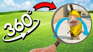 FIND BANANA CAT CRYING | Banana Cat Finding Challenge 360º VR Video