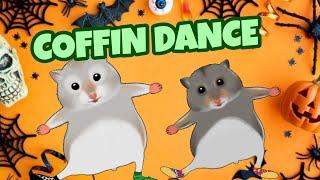 Coffin Dance - Dedoles Cover Song Cz Mix Reklama, Pisnicky Tanecna Verze