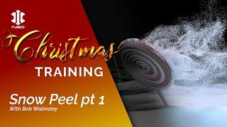INSYDIUM Official Training - Snow Peel - Part 1