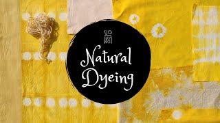 How to Dye Your Clothes Naturally with Simple Kitchen Ingredients