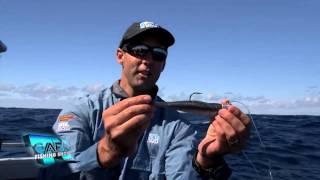 Offshore Fishing - Trevally on ZMan 8 Inch StreakZ XL soft plastics