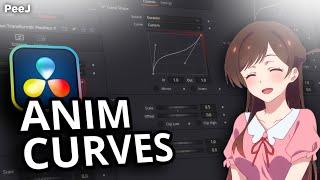 Explaining Anim Curves in DaVinci Resolve