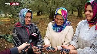 Gezi Rotası: İznik