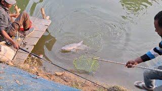 Amazing Hook Fishing Video. The Angler Catching 8KG+ Big black carp Fish By Hook.