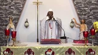 Holy Eucharist in Hindi by Fr. Paul Roy